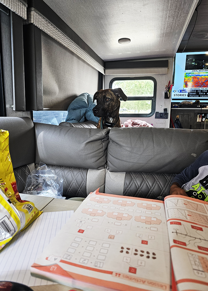 Gallery collage photo